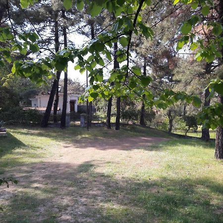 Villa Leo Glykadi المظهر الخارجي الصورة